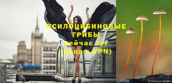 кокс Алексин