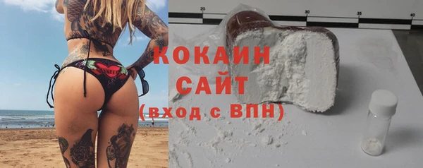 кокс Алексин
