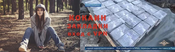 гидропоника Алзамай