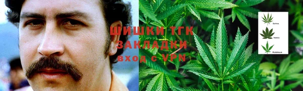 гидропоника Алзамай