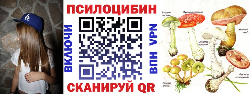 закладки  Жуковский  Галлюциногенные грибы Psilocybine cubensis 