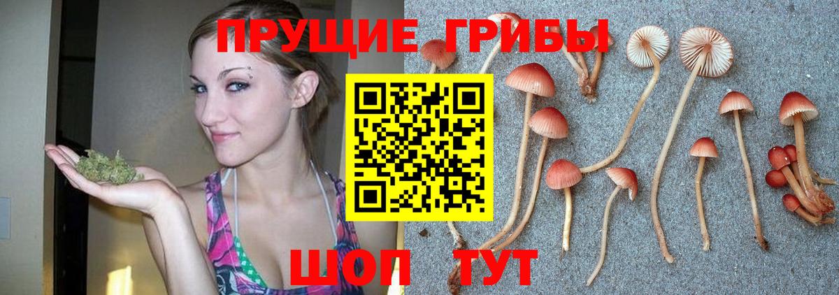 Жуковский  Галлюциногенные грибы MAGIC MUSHROOMS  Вход с VPN  Псилоцибиновые грибы Magic Shrooms 